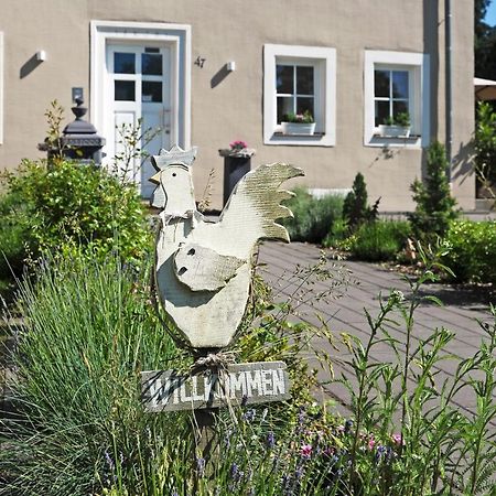 Ferienhaus Eifel 1851 Gipperath Exteriör bild